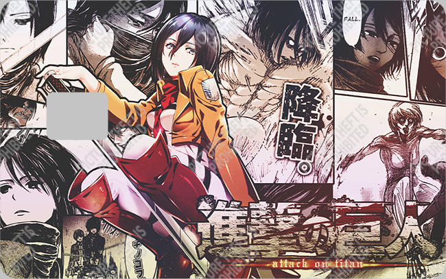 Bank  Card Sticker-BC-531